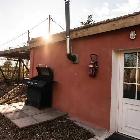 De L'oasis* De La Pastissiere, Un Eco Lieu En Permaculture Mèze