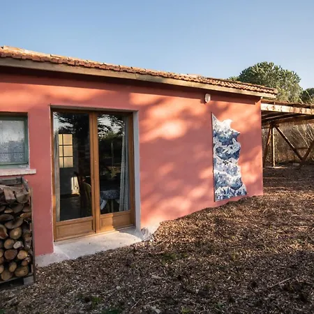 De L'oasis* De La Pastissiere, Un Eco Lieu En Permaculture Casa vacanze Mèze